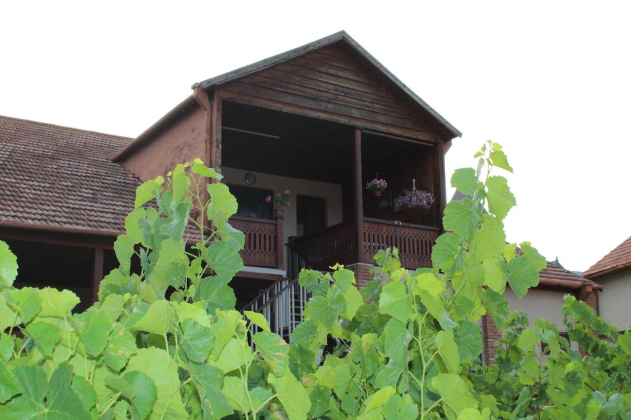 Guesthouse Mtskheta-Kapanadze Buitenkant foto